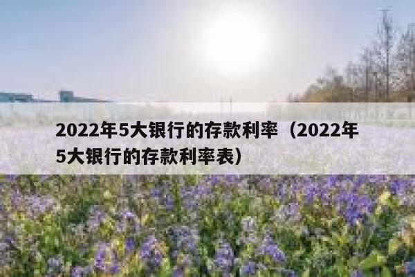 2022年5大银行的存款利率（2022年5大银行的存款利率表） 第1张