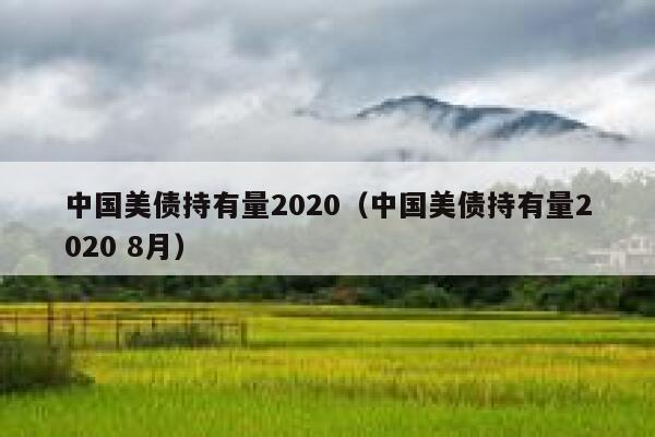 中国美债持有量2020（中国美债持有量2020 8月） 第1张