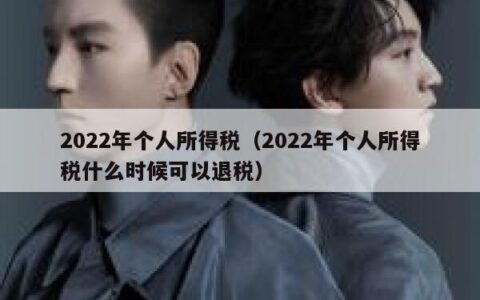 2022年个人所得税（2022年个人所得税什么时候可以退税）