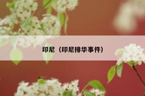 印尼（印尼排华事件） 第1张