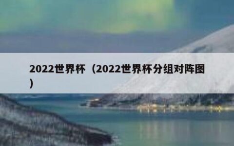 2022世界杯（2022世界杯分组对阵图）