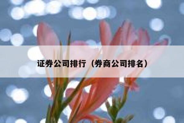 证券公司排行（券商公司排名） 第1张