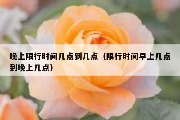 晚上限行时间几点到几点（限行时间早上几点到晚上几点） 第1张