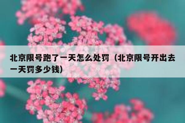 北京限号跑了一天怎么处罚（北京限号开出去一天罚多少钱） 第1张