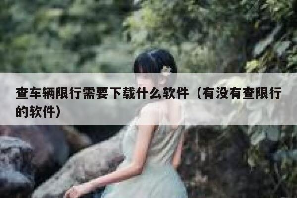 查车辆限行需要下载什么软件（有没有查限行的软件） 第1张