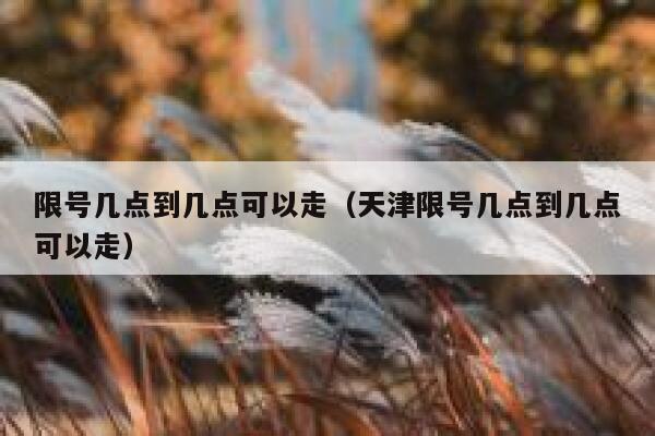 限号几点到几点可以走（天津限号几点到几点可以走） 第1张