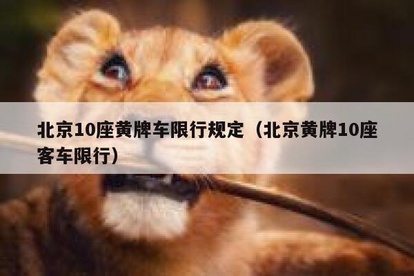 北京10座黄牌车限行规定（北京黄牌10座客车限行） 第1张