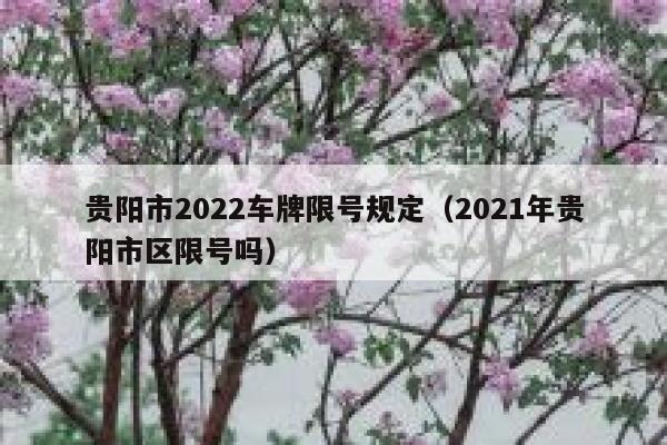 贵阳市2022车牌限号规定（2021年贵阳市区限号吗） 第1张