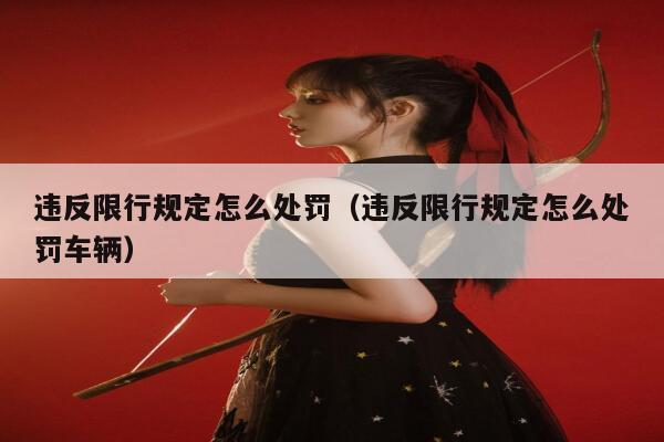 违反限行规定怎么处罚（违反限行规定怎么处罚车辆） 第1张