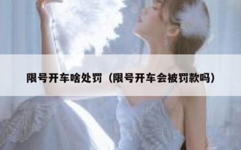 限号开车啥处罚（限号开车会被罚款吗）