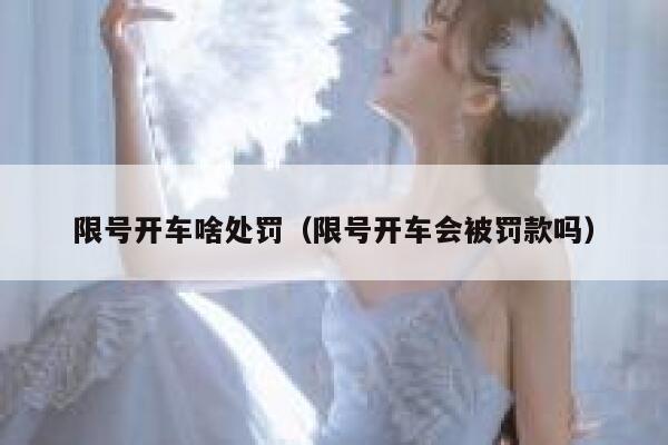 限号开车啥处罚（限号开车会被罚款吗） 第1张