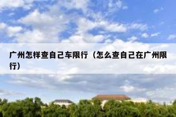 广州怎样查自己车限行（怎么查自己在广州限行） 第1张