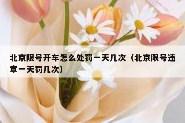 北京限号开车怎么处罚一天几次（北京限号违章一天罚几次） 第1张