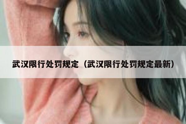 武汉限行处罚规定（武汉限行处罚规定最新） 第1张