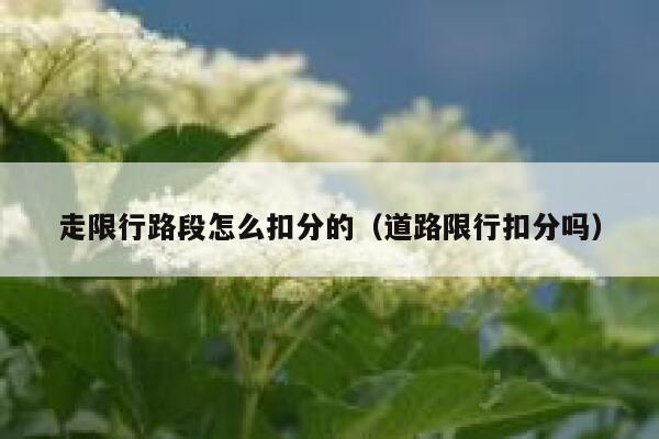 走限行路段怎么扣分的（道路限行扣分吗） 第1张