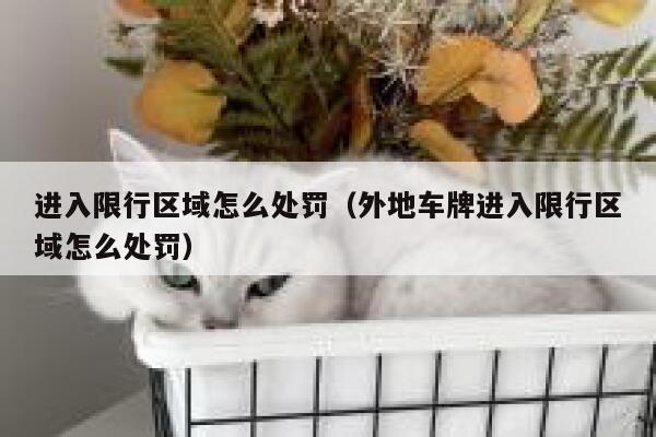 进入限行区域怎么处罚（外地车牌进入限行区域怎么处罚） 第1张