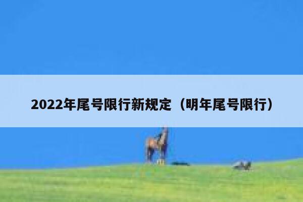 2022年尾号限行新规定（明年尾号限行） 第1张