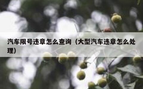 汽车限号违章怎么查询（大型汽车违章怎么处理）