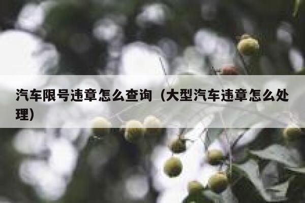 汽车限号违章怎么查询（大型汽车违章怎么处理） 第1张