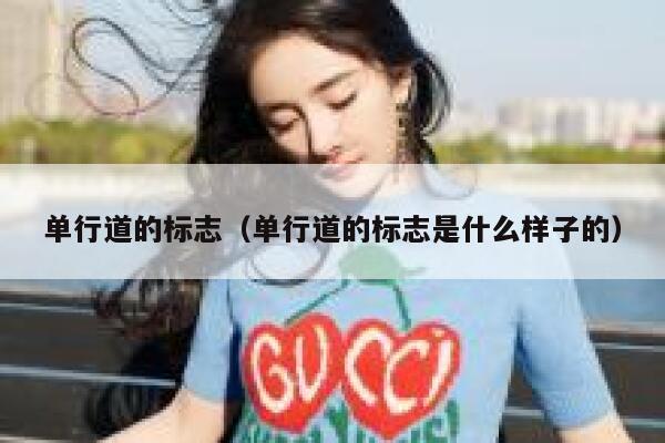 单行道的标志（单行道的标志是什么样子的） 第1张