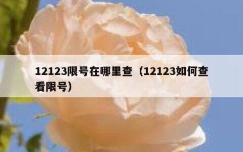 12123限号在哪里查（12123如何查看限号）