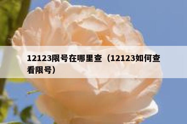 12123限号在哪里查（12123如何查看限号） 第1张