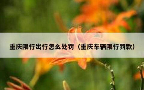 重庆限行出行怎么处罚（重庆车辆限行罚款）