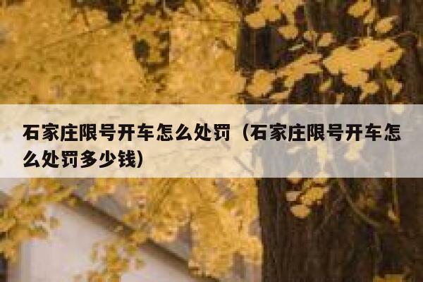 石家庄限号开车怎么处罚（石家庄限号开车怎么处罚多少钱） 第1张