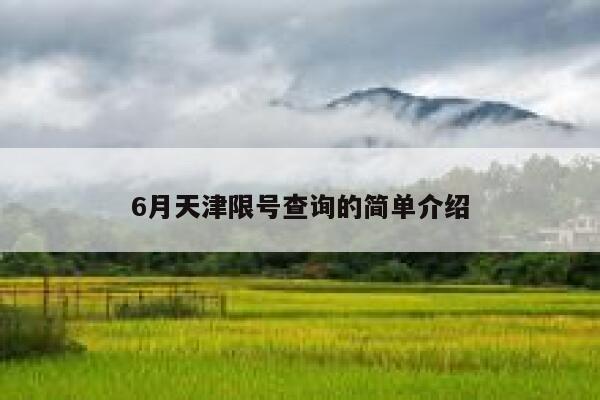 6月天津限号查询的简单介绍 第1张