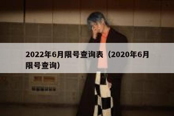 2022年6月限号查询表（2020年6月限号查询） 第1张