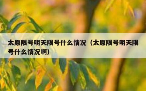 太原限号明天限号什么情况（太原限号明天限号什么情况啊）