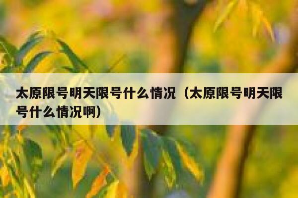 太原限号明天限号什么情况（太原限号明天限号什么情况啊） 第1张