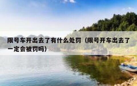 限号车开出去了有什么处罚（限号开车出去了一定会被罚吗）