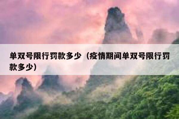 单双号限行罚款多少（疫情期间单双号限行罚款多少） 第1张