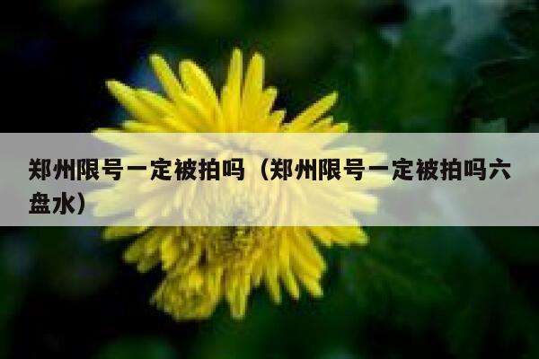 郑州限号一定被拍吗（郑州限号一定被拍吗六盘水） 第1张