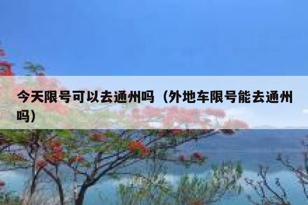 今天限号可以去通州吗（外地车限号能去通州吗） 第1张