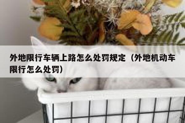 外地限行车辆上路怎么处罚规定（外地机动车限行怎么处罚） 第1张