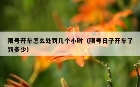 限号开车怎么处罚几个小时（限号日子开车了罚多少）