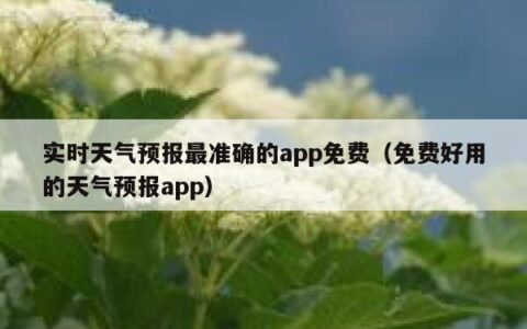 实时天气预报最准确的app免费（免费好用的天气预报app）