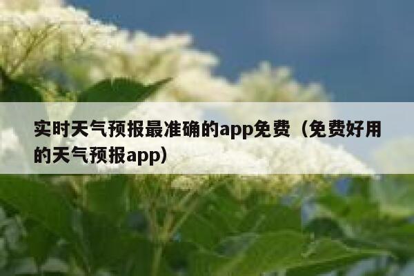 实时天气预报最准确的app免费（免费好用的天气预报app） 第1张