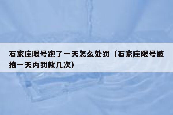 石家庄限号跑了一天怎么处罚（石家庄限号被拍一天内罚款几次） 第1张