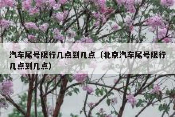 汽车尾号限行几点到几点（北京汽车尾号限行几点到几点） 第1张