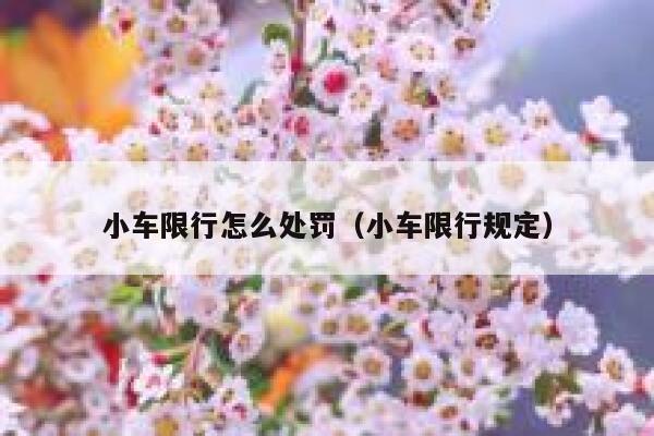 小车限行怎么处罚（小车限行规定） 第1张