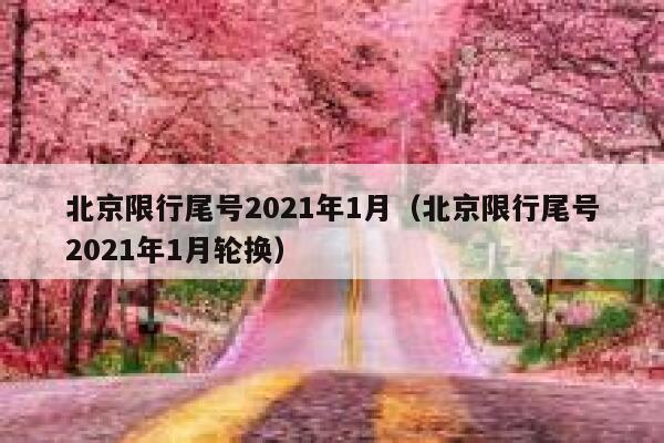 北京限行尾号2021年1月（北京限行尾号2021年1月轮换） 第1张