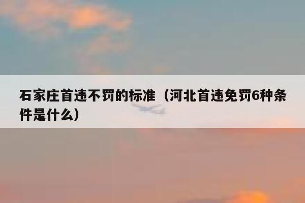 石家庄首违不罚的标准（河北首违免罚6种条件是什么） 第1张