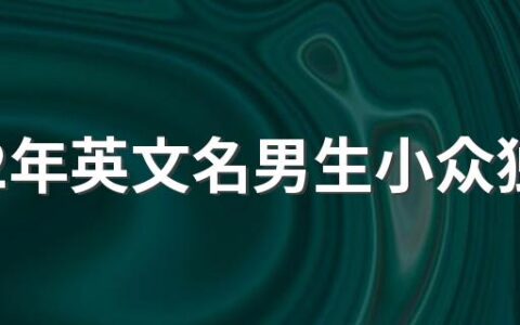 2022年英文名男生小众独特少见360个