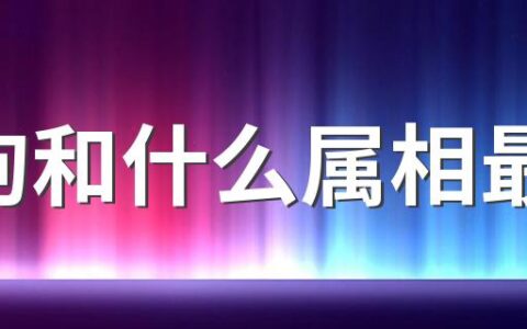 属狗和什么属相最配 属狗怎么做才能婚姻幸福