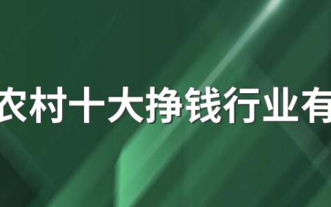 未来农村十大挣钱行业有哪些 十个适合在农村发展的赚钱创业项目