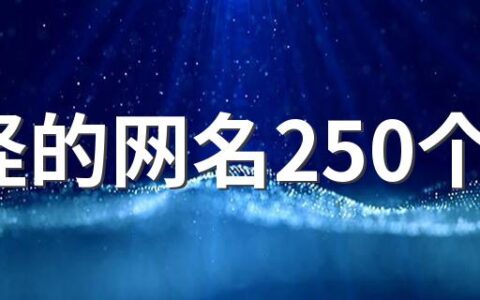 奇怪的网名250个 吸引人的搞笑网名