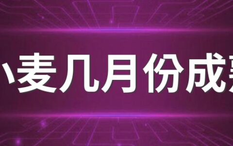 小麦几月份成熟 2022年新小麦上市多少钱一斤